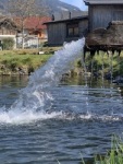 Wasserproben und Analyse