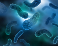 Pressemeldungen Legionellen